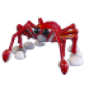 Spider Crab